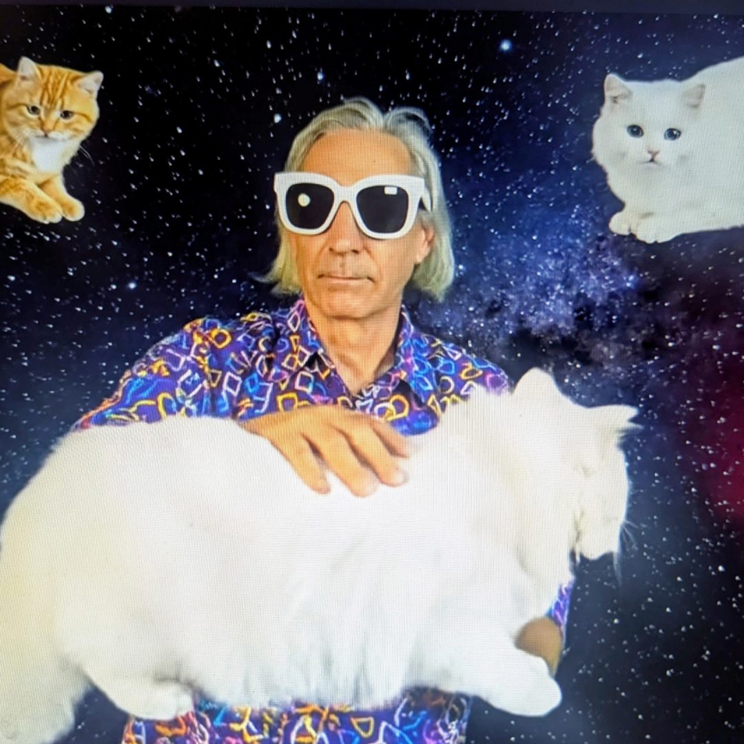 Monsieur Orange en lunettes blanches, avec des chats sur un fond étoilé